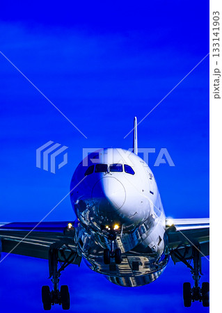 着陸体制してくる飛行機 133141903