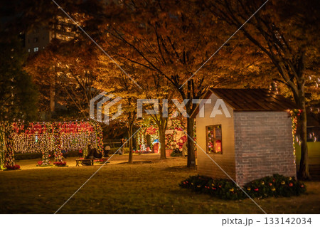 クリスマスのイルミネーションがある公園と紅葉した木 133142034