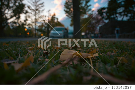 道端に落ちた銀杏の葉 133142057