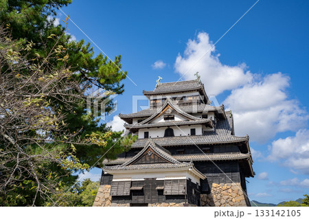 松江城の天守閣の風景 133142105