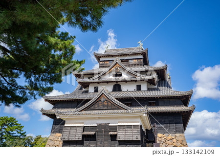 松江城の天守閣の風景 松江城の天守閣の風景 133142109