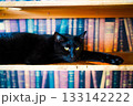 本棚でくつろぐ黒猫 133142222