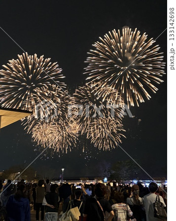 花火を見上げる人々 133142698