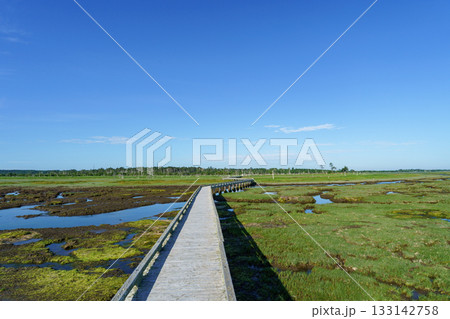 北海道・根室市の春国岱の木道と湿原風景 133142758