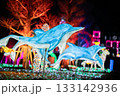 Dolphin Illumination, 夜のイルカのイルミネーション 133142936