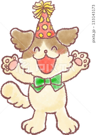 かわいい動物達のパーティー_パーティー衣装を身につけた犬 133143173