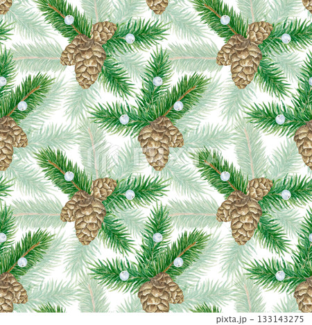 Winter seamless pattern with pine cones, berries, and spruce branches, watercolor. Christmas, festive design of fabric, packaging, and paper. Pine cones and needles are hand-drawn. Winter seamless pattern with pine cones, berries, and spruce branches, watercolor. Christmas, festive design of fabric, packaging, and paper. Pine cones and needles are hand-drawn. 133143275