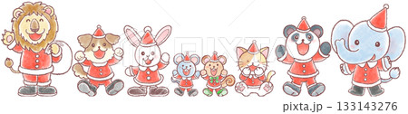 クリスマス衣装を着た一列に並んだかわいい動物たち 133143276
