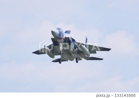 着陸態勢の飛行教導群　アグレッサー部隊のF-15ⅮJ 133143800