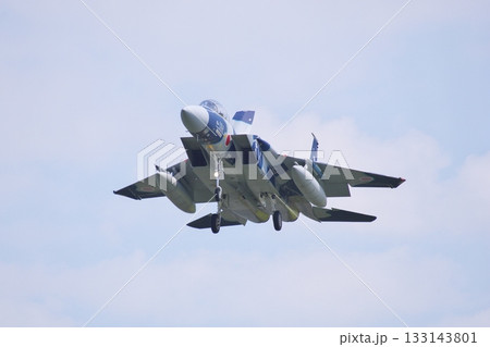着陸態勢の飛行教導群 アグレッサー部隊のF-15ⅮJ 着陸態勢の飛行教導群 アグレッサー部隊のF-15ⅮJ 133143801