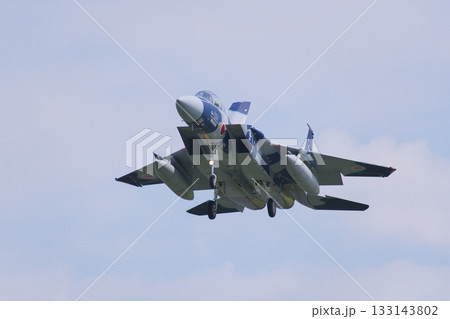 着陸態勢の飛行教導群　アグレッサー部隊のF-15ⅮJ 133143802