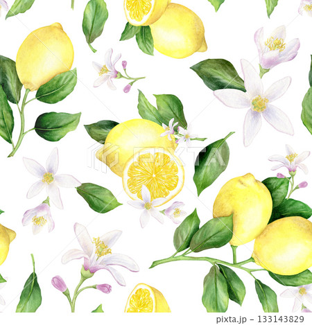 A seamless pattern with lemon branches, yellow lemon halves, flowers, and leaves. A juicy illustration of this tropical fruit. Hand-drawn with watercolors. 133143829