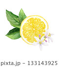 A juicy watercolor illustration of a tropical fruit: half a yellow lemon with leaves and flowers, hand-drawn, isolated on a white background. Suitable for design and printing. 133143925