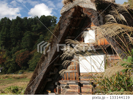 秋の白川郷合掌集落とススキ 133144119