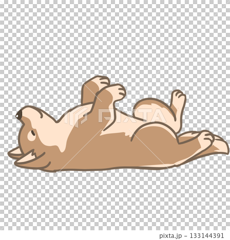 仰向けに寝る柴犬のシンプルイラスト 133144391