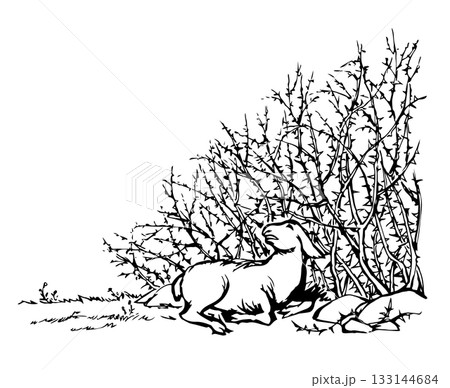 Vector drawing. The sheep got lost in the thorn bushes Vector drawing. The sheep got lost in the thorn bushes 133144684