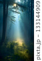 Beautiful landscape of dense forest in summer. Sun rays barely break through the twilight, vertical image. 133144909