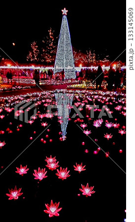 水面に映るクリスマスイルミネーションの輝き 133145069