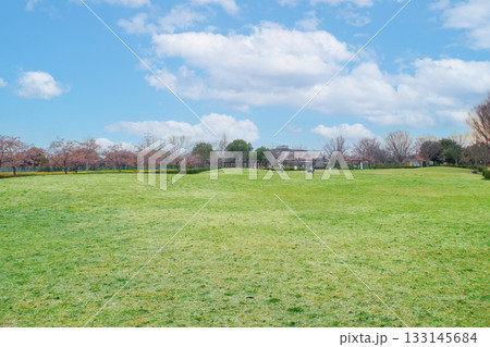 農業文化園・戸田川緑地・芝生広場／愛知県名古屋市港区春田野2丁目 133145684