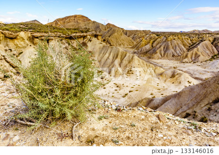 Tabernas desert landscape, Spain 133146016