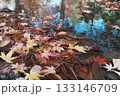 水に沈む落葉したもみじ 133146709