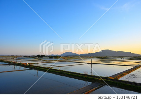 水を張った越後平野（新潟県） 133146721