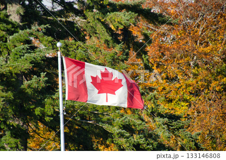 秋晴れにたなびくカナダの旗　　カナダ 133146808