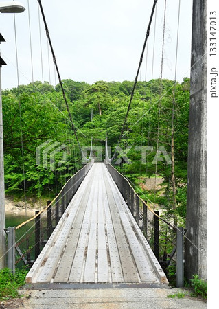 鷹ノ巣大吊り橋（新潟県） 133147013