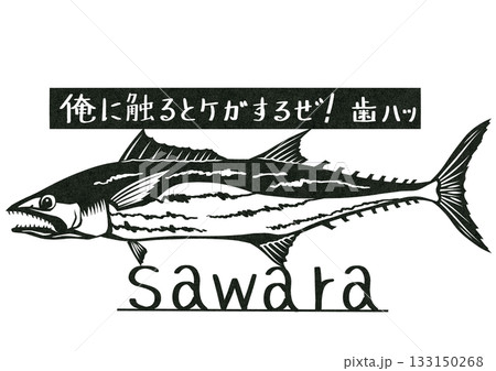 今が旬の脂の乗ったサワラの切り絵イラスト 133150268