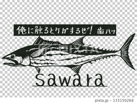今が旬の脂の乗ったサワラの切り絵イラスト 133150268