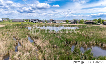 Drone view over marsh wetland and cattails in a drainage area between housing developments. Drone view over marsh wetland and cattails in a drainage area between housing developments. 133150283