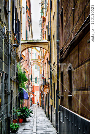 Typical street and buildings of the city of Savona in the Liguria region, Italy 133150525