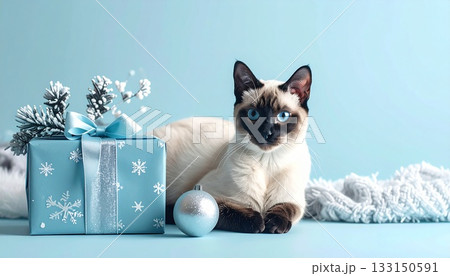 シャム猫と冬ギフトのペールブルー背景・落ち着いたクールトーンシーン シャム猫と冬ギフトのペールブルー背景・落ち着いたクールトーンシーン 133150591
