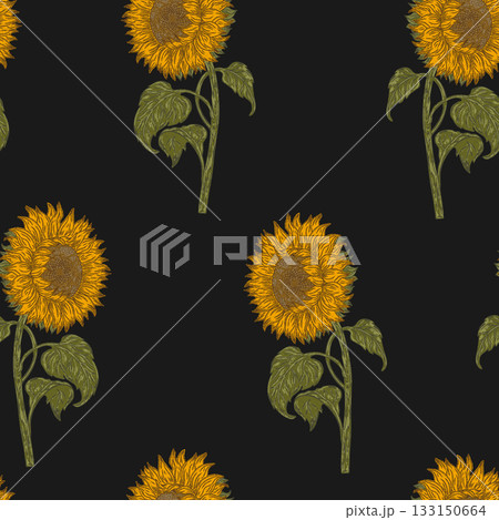 seamless pattern with sunflowers seamless pattern with sunflowers 133150664