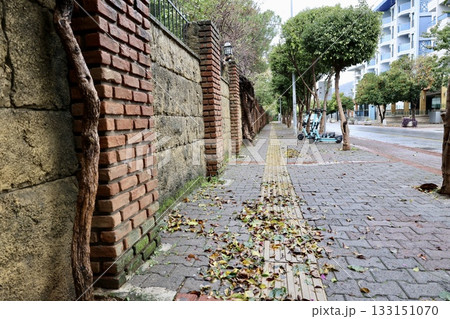 Brick vine wall. High quality photo Brick vine wall. High quality photo 133151070