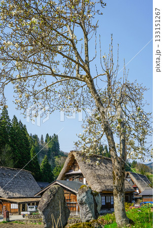 五箇山相倉合掌造り集落 133151267