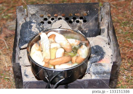 ソロキャンプ　滋賀県琵琶湖畔　湖岸緑地　アヒージョと猛禽 133151386