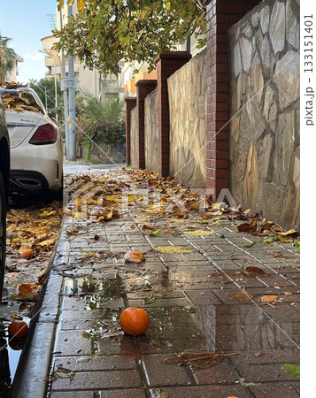 Fallen oranges street. High quality photo 133151401