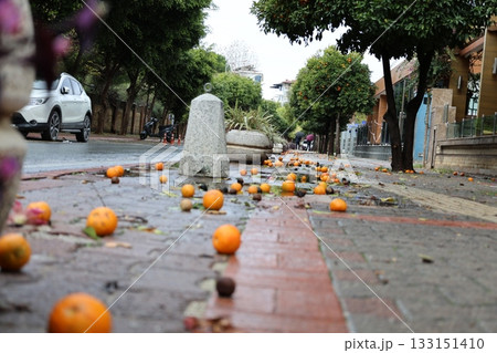 Fallen oranges street. High quality photo 133151410