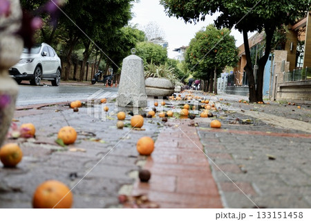 Fallen oranges street. High quality photo Fallen oranges street. High quality photo 133151458