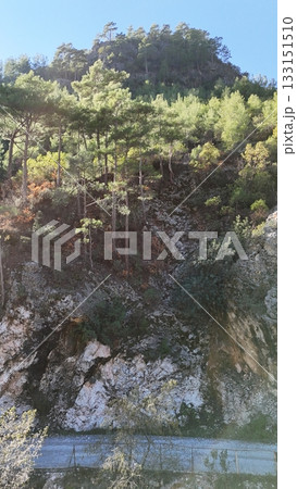 drone flight mountains coniferous forest clear blue sky. High quality photo 133151510