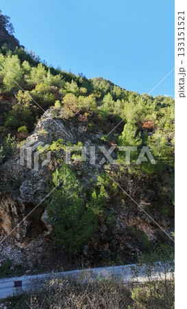 drone flight mountains coniferous forest clear blue sky. High quality photo 133151521