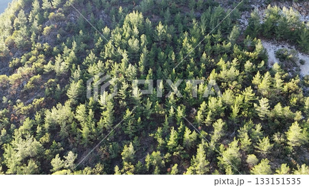 drone flight mountains coniferous forest clear blue sky. High quality photo drone flight mountains coniferous forest clear blue sky. High quality photo 133151535