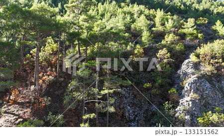 drone flight mountains coniferous forest clear blue sky. High quality photo drone flight mountains coniferous forest clear blue sky. High quality photo 133151562