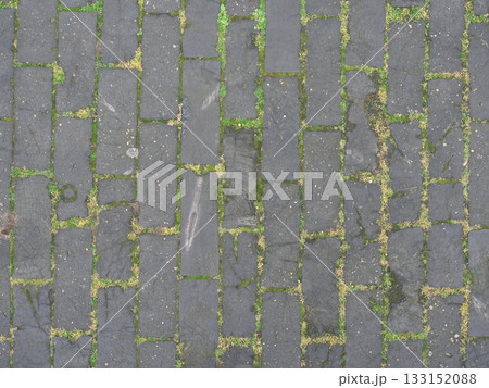 ロンドンに唯一残る木で舗装されたストリート ロンドンに唯一残る木で舗装されたストリート 133152088