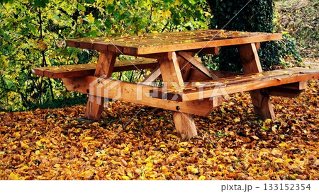 Wooden picnic table in autumn park surrounded by fallen yellow leaves 133152354