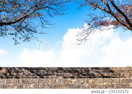 秋の青空と落葉した桜の木と階段のある風景 秋の青空と落葉した桜の木と階段のある風景 133152572
