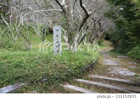 大阪神峯山大門寺の紅葉の始まり 大阪神峯山大門寺の紅葉の始まり 133152635