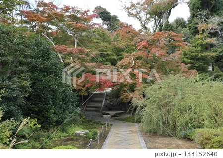 大阪神峯山大門寺の紅葉の始まり 133152640