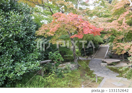 大阪神峯山大門寺の紅葉の始まり 133152642
